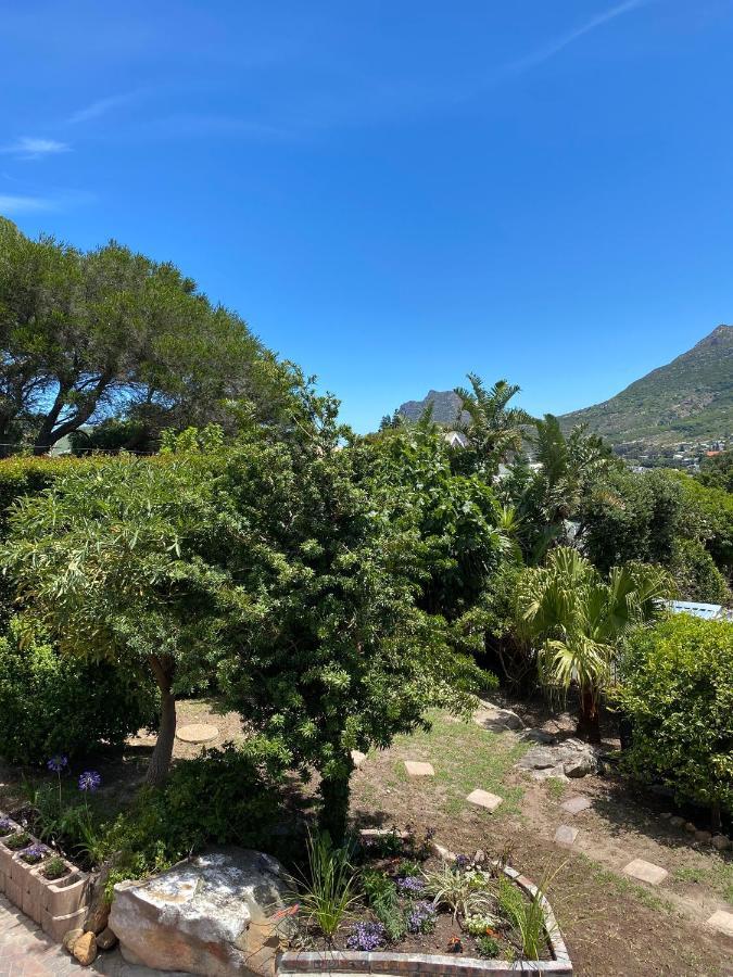 Cosy And Unique Family Retreat In Hout Bay Villa Kapstaden Eksteriør billede